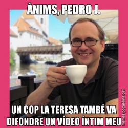 ÀNIMS, PEDRO J. UN COP LA TERESA TAMBÉ VA DIFONDRE UN VÍDEO ÍNTIM MEU