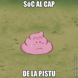 SóC AL CAP DE LA PISTU