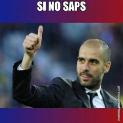 SI NO SAPS