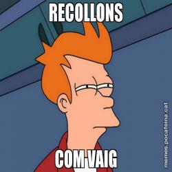 RECOLLONS COM VAIG