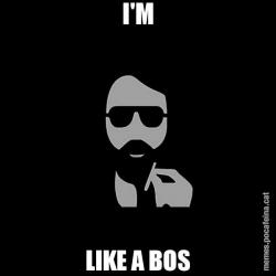I'M LIKE A BOS