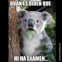 QUAN ES DIUEN QUE  HI HA EXAMEN...