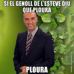 SI EL GENOLL DE L'ESTEVE DIU QUE PLOURA PLOURA