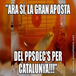 "ARA SÍ, LA GRAN APOSTA DEL PPSOEC'S PER CATALUNYA!!!"