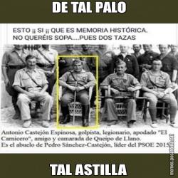 DE TAL PALO TAL ASTILLA