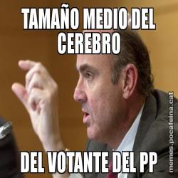 TAMAÑO MEDIO DEL CEREBRO DEL VOTANTE DEL PP