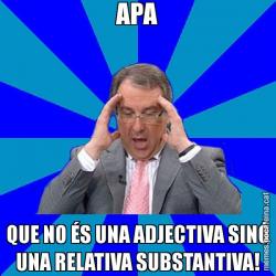 APA QUE NO ÉS UNA ADJECTIVA SINÓ UNA RELATIVA SUBSTANTIVA!