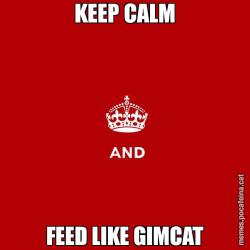 KEEP CALM FEED LIKE GIMCAT