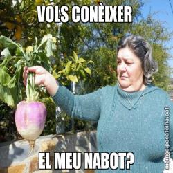 VOLS CONÈIXER  EL MEU NABOT?