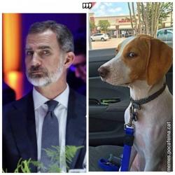 ,,,