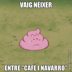 VAIG NÉIXER ENTRE "CAFÈ I NAVARRO"