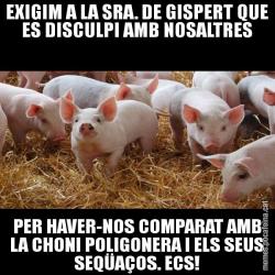 EXIGIM A LA SRA. DE GISPERT QUE ES DISCULPI AMB NOSALTRES PER HAVER-NOS COMPARAT AMB LA CHONI POLIGONERA I ELS SEUS SEQÜAÇOS. ECS!