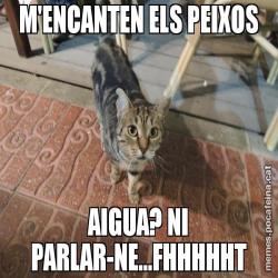 M'ENCANTEN ELS PEIXOS AIGUA? NI PARLAR-NE...FHHHHHT