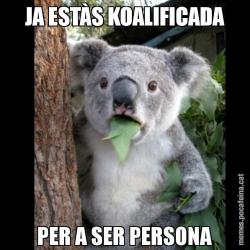 JA ESTÀS KOALIFICADA PER A SER PERSONA