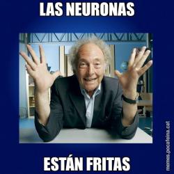 LAS NEURONAS ESTÁN FRITAS