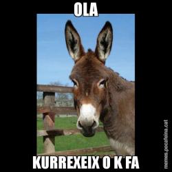 OLA KURREXEIX O K FA