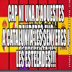 CAP NI UNA D'AQUESTES BANDERES ENS REPRESENTA!!! A CATALUNYA LES SENYERES I LES ESTELADES!!!