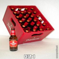 DIA 1