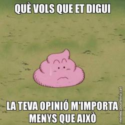 QUÈ VOLS QUE ET DIGUI LA TEVA OPINIÓ M'IMPORTA MENYS QUE AIXÒ
