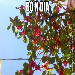 BO N DIA