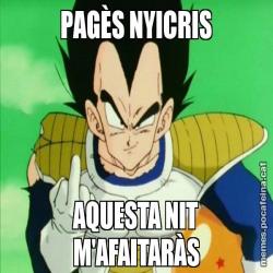 PAGÈS NYICRIS AQUESTA NIT M'AFAITARÀS
