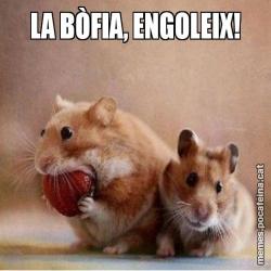 LA BÒFIA, ENGOLEIX!