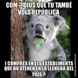 COM ? DIUS QUE TU TAMBÉ VOLS REPÚBLICA I COMPRES EN ELS ESTABLIMENTS QUE NO ATENEN EN LA LLENGUA DEL PAÍS ?