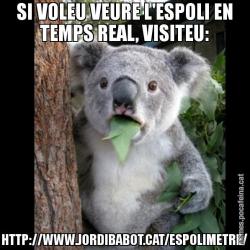 SI VOLEU VEURE L'ESPOLI EN TEMPS REAL, VISITEU: HTTP://WWW.JORDIBABOT.CAT/ESPOLIMETRE/