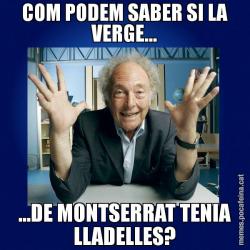 COM PODEM SABER SI LA VERGE... ...DE MONTSERRAT TENIA LLADELLES?