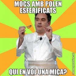 MOCS AMB POLEN ESFERIFICATS QUI EN VOL UNA MICA?