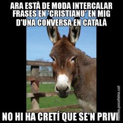 ARA ESTÀ DE MODA INTERCALAR FRASES EN 'CRISTIANU' EN MIG D'UNA CONVERSA EN CATALÀ NO HI HA CRETÍ QUE SE'N PRIVI