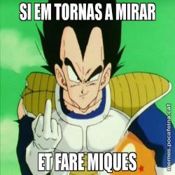 SI EM TORNAS A MIRAR ET FARE MIQUES
