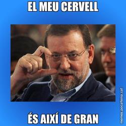 EL MEU CERVELL ÉS AIXÍ DE GRAN