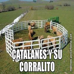 CATALANES Y SU CORRALITO