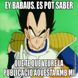 EY BABAUS. ES POT SABER QUE TE QUE VEURE LA PUBLICACIO AQUESTA AMB MI