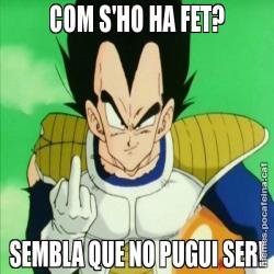 COM S'HO HA FET? SEMBLA QUE NO PUGUI SER!