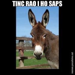 TINC RAO I HO SAPS