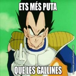 ETS MÉS PUTA QUE LES GALLINES