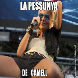 LA PESSUNYA DE   CAMELL