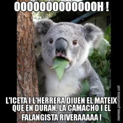 OOOOOOOOOOOOOH ! L'ICETA I L'HERRERA DIUEN EL MATEIX QUE EN DURAN, LA CAMACHO I EL FALANGISTA RIVERAAAAA !