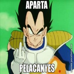 APARTA PELACANYES