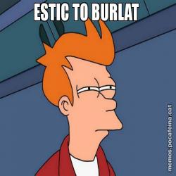 ESTIC TO BURLAT