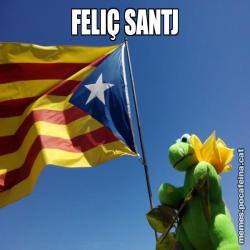 FELIÇ SANTJ