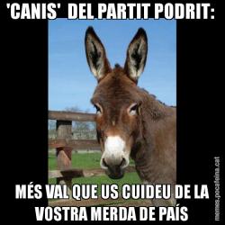 'CANIS'  DEL PARTIT PODRIT:  MÉS VAL QUE US CUIDEU DE LA VOSTRA MERDA DE PAÍS