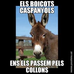 ELS BOICOTS CASPANYOLS ENS ELS PASSEM PELS COLLONS