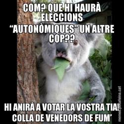 COM? QUE HI HAURÀ ELECCIONS “AUTONÒMIQUES” UN ALTRE COP?? HI ANIRÀ A VOTAR LA VOSTRA TIA! COLLA DE VENEDORS DE FUM’