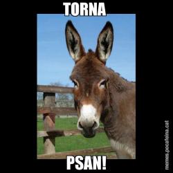 TORNA  PSAN!