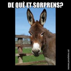DE QUÈ ET SORPRENS?
