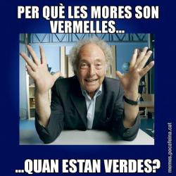 PER QUÈ LES MORES SON VERMELLES... ...QUAN ESTAN VERDES?