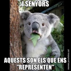 I SENYORS AQUESTS SON ELS QUE ENS "REPRESENTEN"